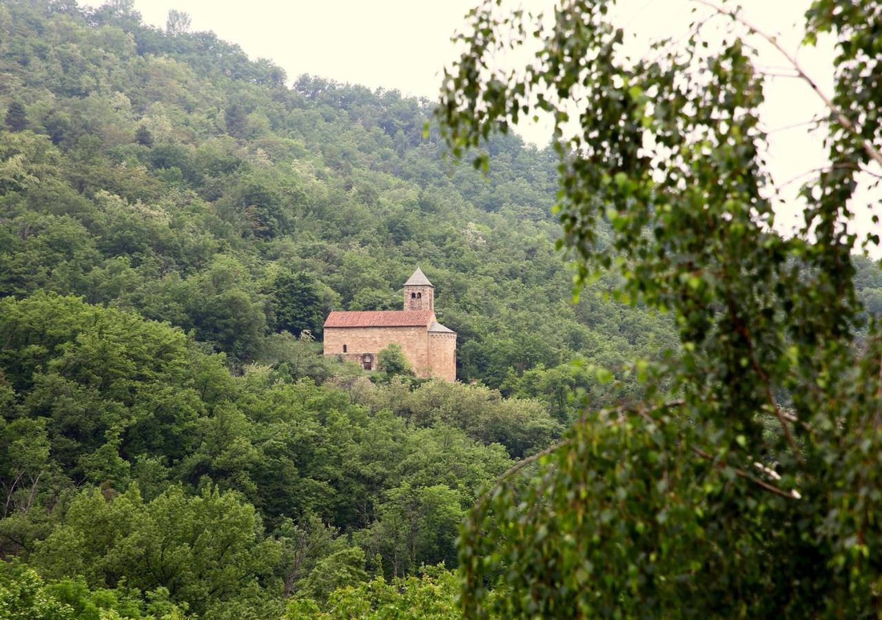 Beau Vallon - Gite Et Chambres D'Hotes Pyrenees-Mediterranee - Pays Catalan Sahorre Exteriör bild
