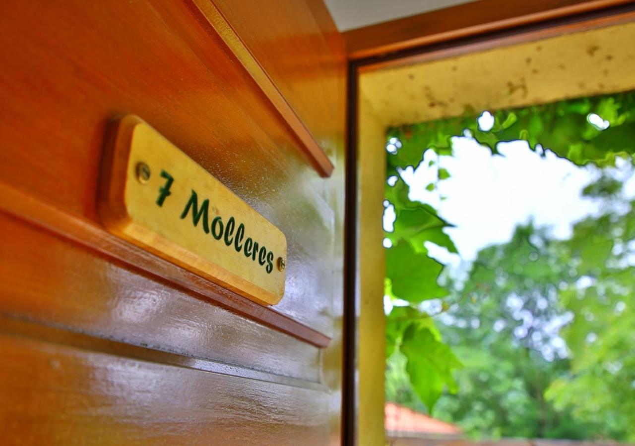 Beau Vallon - Gite Et Chambres D'Hotes Pyrenees-Mediterranee - Pays Catalan Sahorre Exteriör bild